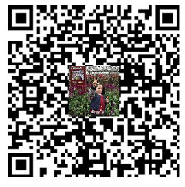 Alipay